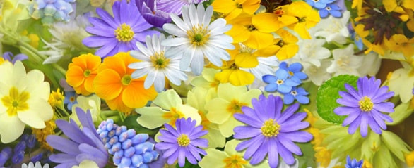 flowers